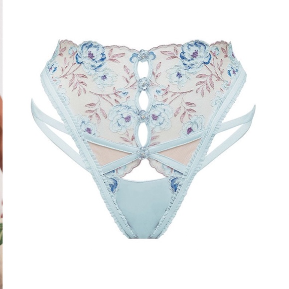 ~ SOLD ~ For Love and Lemons Sorbet Rose 2pc Bralette & Cheeky Panty Set - Picture 9 of 10